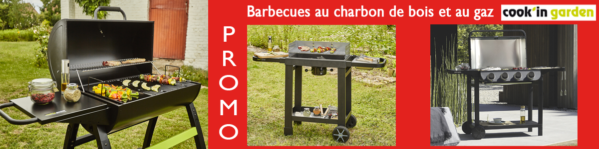 Promo barbecues
