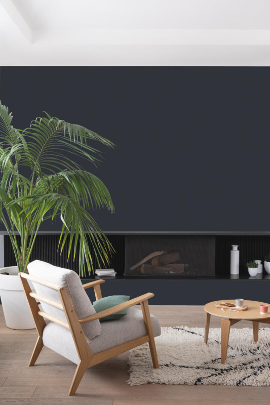 Peinture COLORISSIM Satin 2,5L Carbone - Zoom2