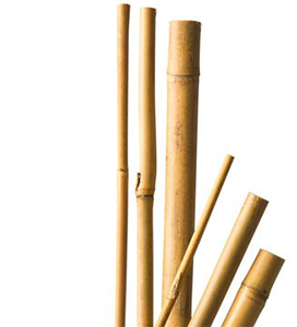 Tuteurs bambou 1,50m lot de 4