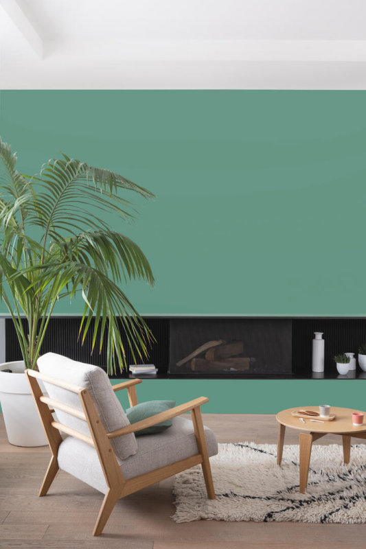 Peinture COLORISSIM Satin 0,5L Cactus - Zoom2