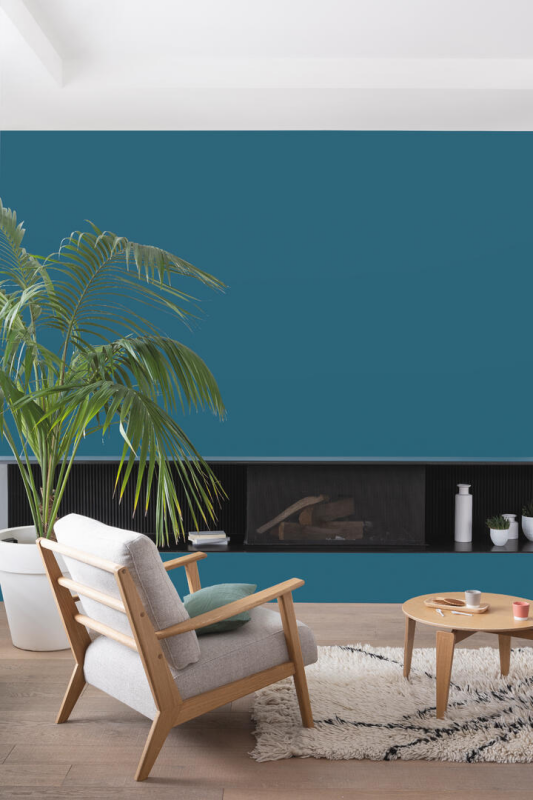 Peinture COLORISSIM Satin 0,5L Canard - Zoom2