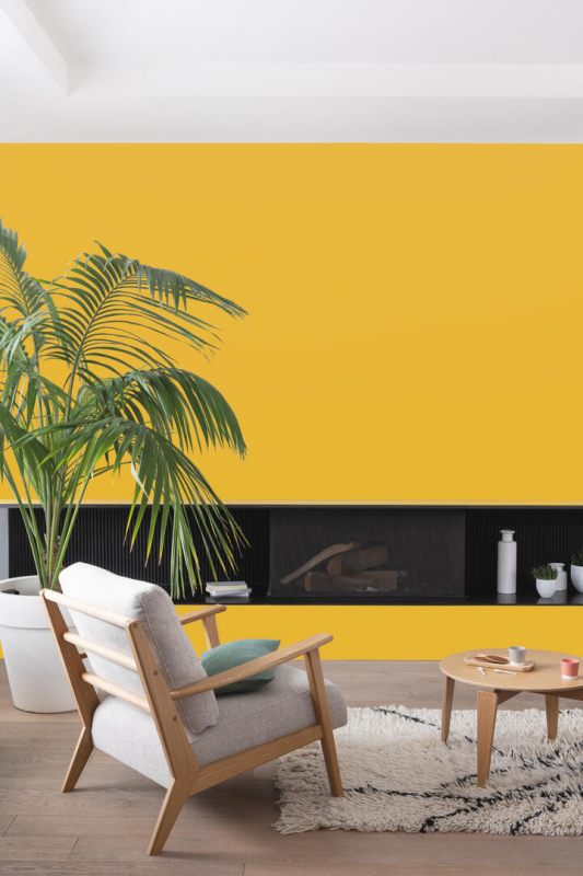 Peinture COLORISSIM Satin 2,5L Curcuma - Zoom2