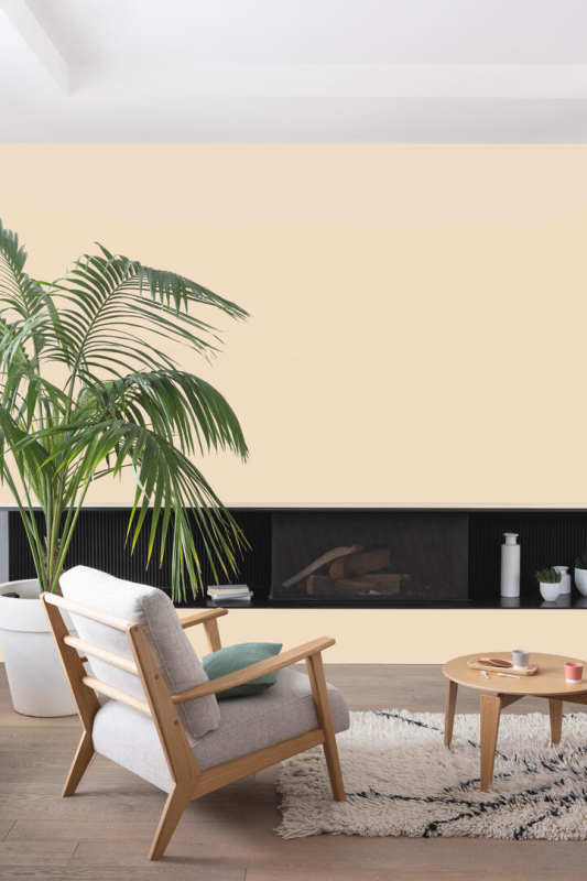 Peinture COLORISSIM Satin 0,075L Grège Testeur - Zoom2