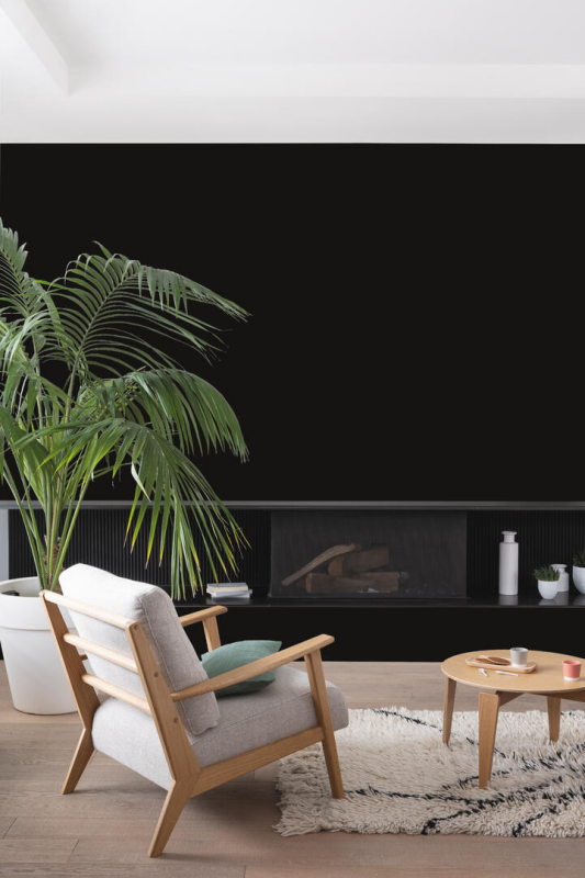 Peinture COLORISSIM Satin 0,5L Noir - Zoom2