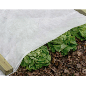 Voile d'hivernage 2x5m 30g/m²