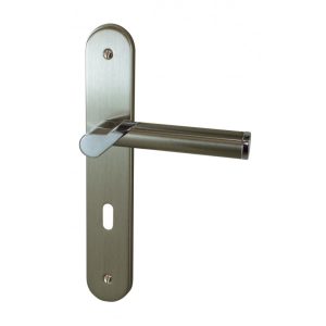 Ensemble VICTORIA zamak/acier 195mm + ressort de rappel Serrure