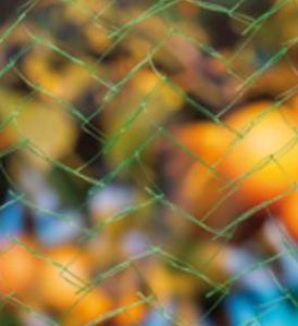 Filet anti-oiseaux vert  5x2m