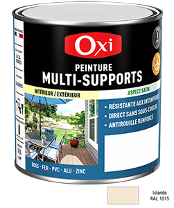 Peinture MULTI SUPPORTS TOP3+ Islande 2,5L