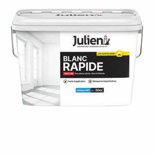 Peinture murs et plafonds BLANC RAPIDE Mat base white 5L
