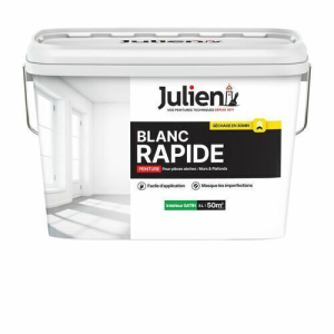 Peinture murs et plafonds BLANC RAPIDE Satin base white 5L