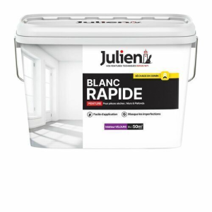Peinture murs et plafonds BLANC RAPIDE Velours 5L