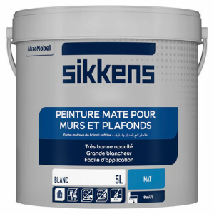 Peinture murs et plafonds Mat blanc 5L