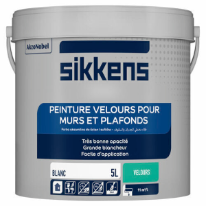 Peinture murs et plafonds Velours blanc 5L