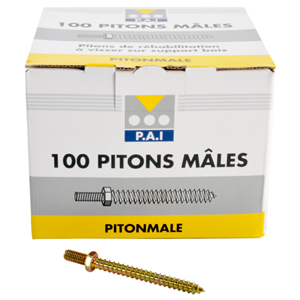 Piton de réhabilitation mâle - 100 pces