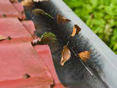 Protège-gouttière hérisson - Ø12 x 120