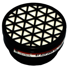 Filtres de rechange A2P3- 2 pces