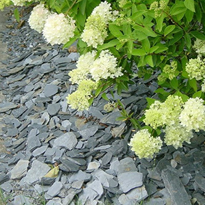 Ardoise Pilée Tigrée 10/40mm Sac 20kg P/50