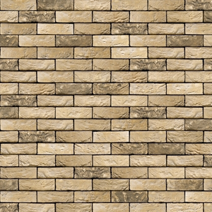 Brique moulée main CORUM 65x100x210 VANDERSANDEN - P620 VENDU PAR PALETTE COMPLETE