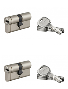 Cylindre TRANSIT 1 nickelé 30x30mm - 2 pièces