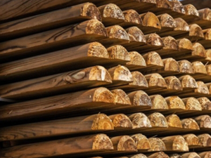 Demi rondin Ø7 long 2,50m pin traité prix limité au stock disponible