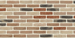 Brique FERMETTE T15 65x100x215 NELISSEN - Pal 730pces VENDU PAR PALETTE COMPLETE