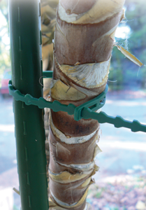 Liens crantés universels - 30 pces - FIN DE SERIE