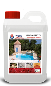 Minéralisant TS tous supports 2L - FIN DE SERIE - REMPLACE PAR DALEP