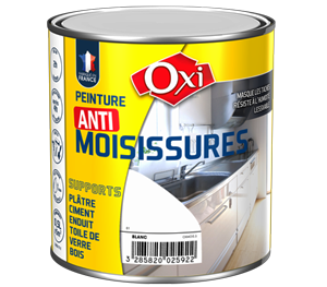 Peinture anti-moisissures 0,5L