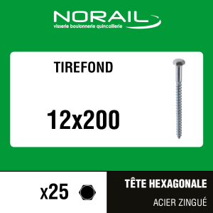 Tirefond acier zingué tête hexagonale 12x200 mm - 25 pces