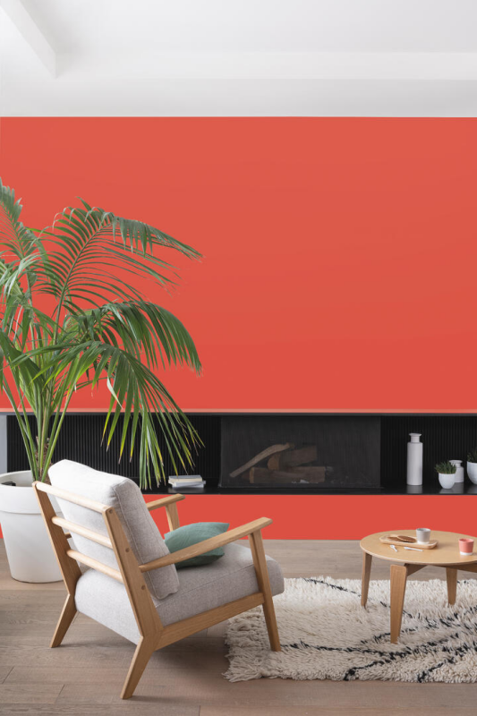 Peinture COLORISSIM Satin 2,5L Espelette - Zoom2