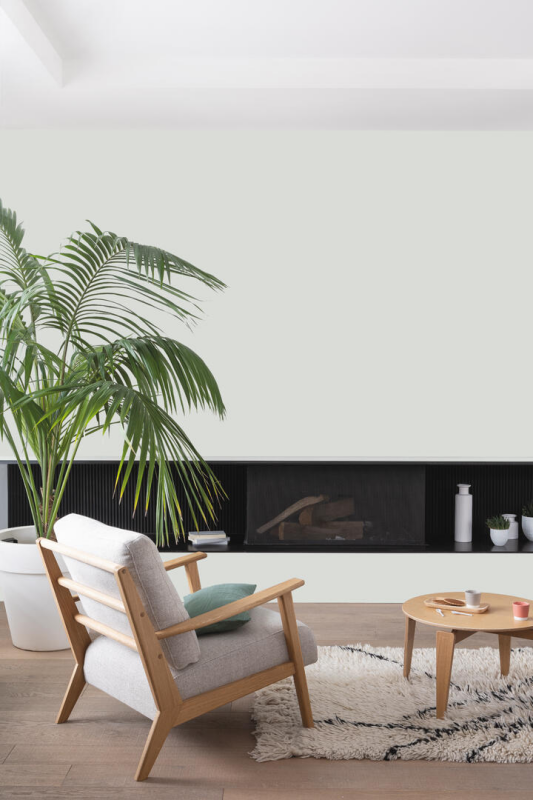 Peinture COLORISSIM Satin 2,5L Gris Platine - Zoom2