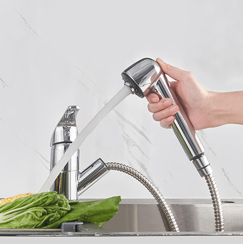 Mitigeur évier BAGO Chromé - Douchette 2 jets extractible - 4051631 - Zoom2