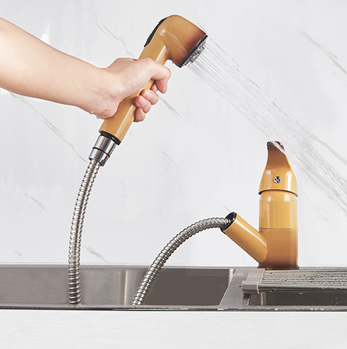 Mitigeur évier BAGO Terre de France - Douchette 2 jets extractible - 4051655 - Zoom2