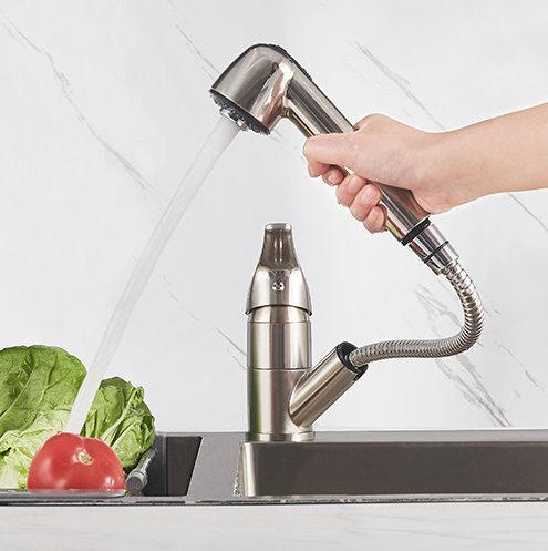 Mitigeur évier BAGO Inox - Douchette 2 jets extractible - 4059835 - Zoom2