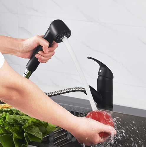 Mitigeur évier BAGO Noir mat - Douchette 2 jets extractible - 4060688 - Zoom2