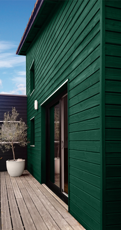 Peinture BOIS COLOR Mat Profond Vert Basque 1L - Zoom2