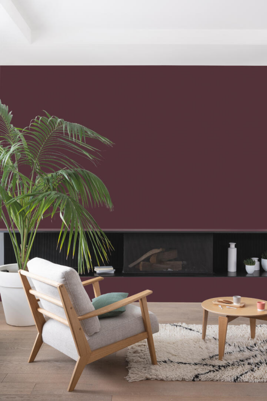 Peinture COLORISSIM Satin 2,5L Aubergine - Zoom2