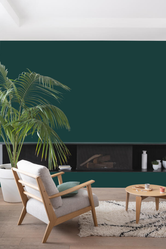 Peinture COLORISSIM Satin 0,075L Forêt Noir Testeur - Zoom2