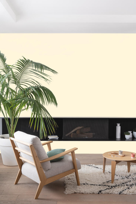 Peinture COLORISSIM Satin 0,5L Kaolin - Zoom2