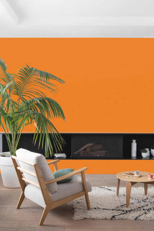 Peinture COLORISSIM Satin 2,5L Safran - Zoom2