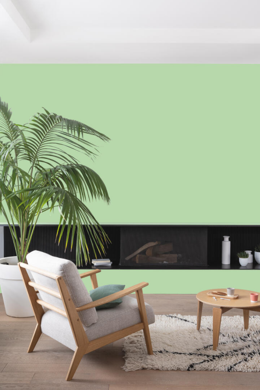 Peinture COLORISSIM Satin 0,075L Sorbet Pistache Testeur - Zoom2