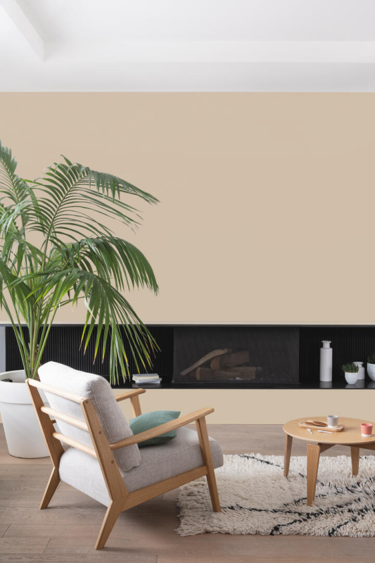 Peinture COLORISSIM Satin 2,5L Taupe Clair - Zoom2