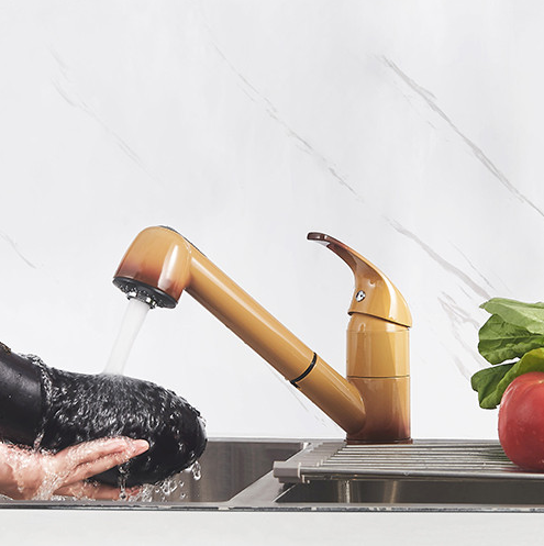 Mitigeur évier BAGO Terre de France - Douchette 2 jets extractible - 4051655 - Zoom3